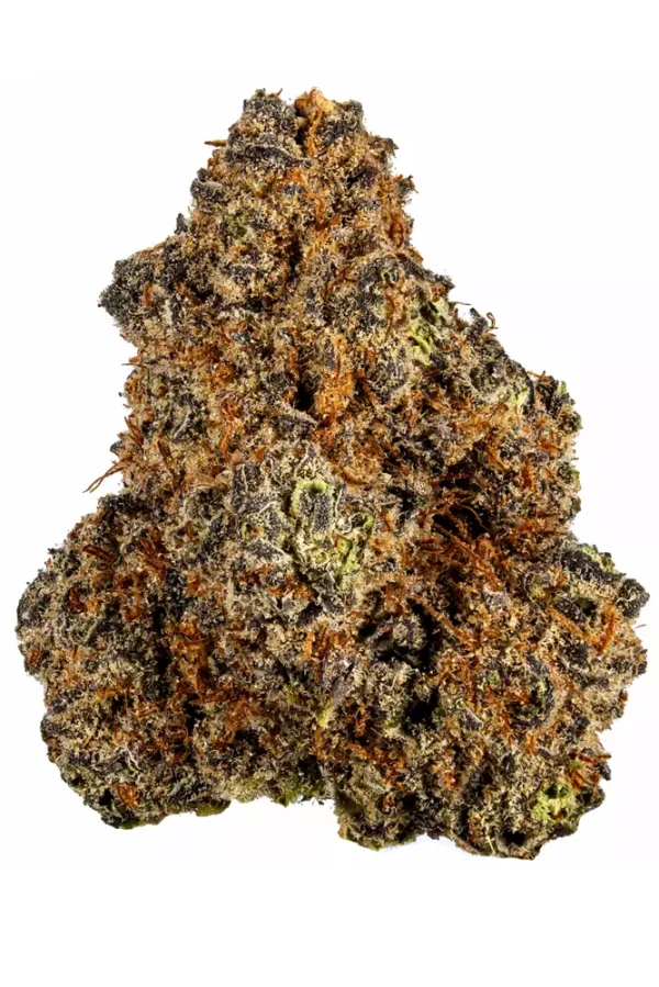 Purple Haze Feminized - Image 7