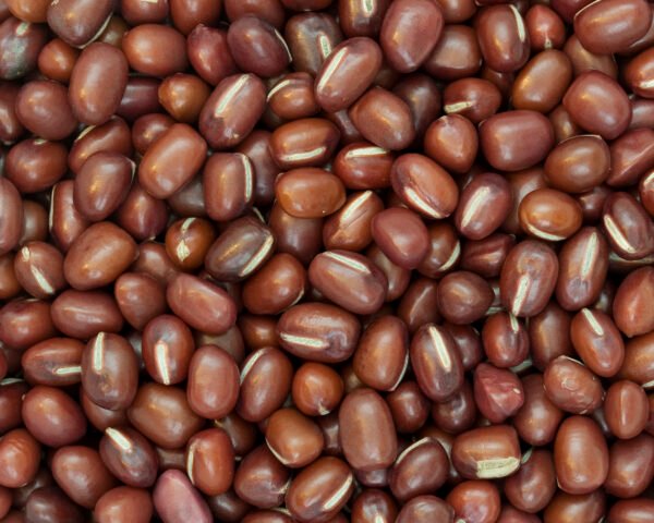 Adzuki Bean